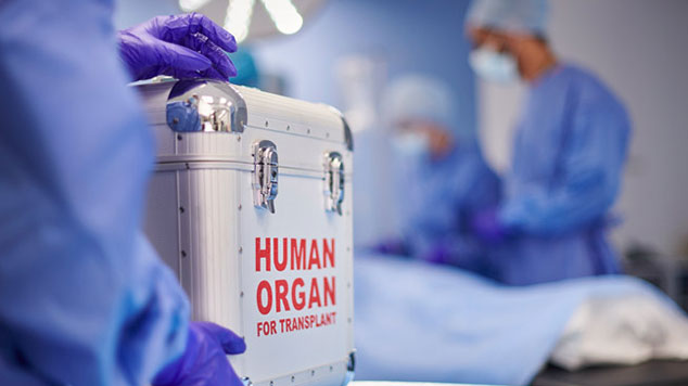 Caregiver in scrubs carrying container that says human organ transplant.