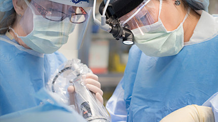 Medical Professionals