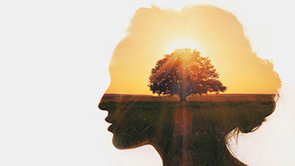 Illustration of a tree planted in nature in an outline of a person's head.