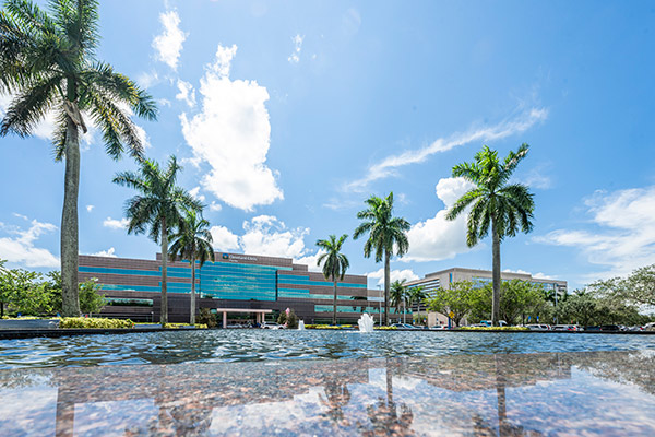 An image of Cleveland Clinic Florida framed by palm trees.